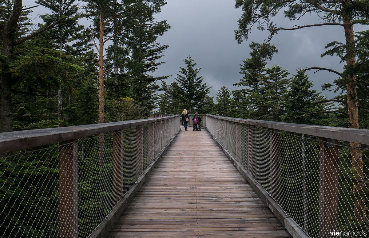 Le sentier de Baumpwipfelpfad. ©corinne Vie Nomade